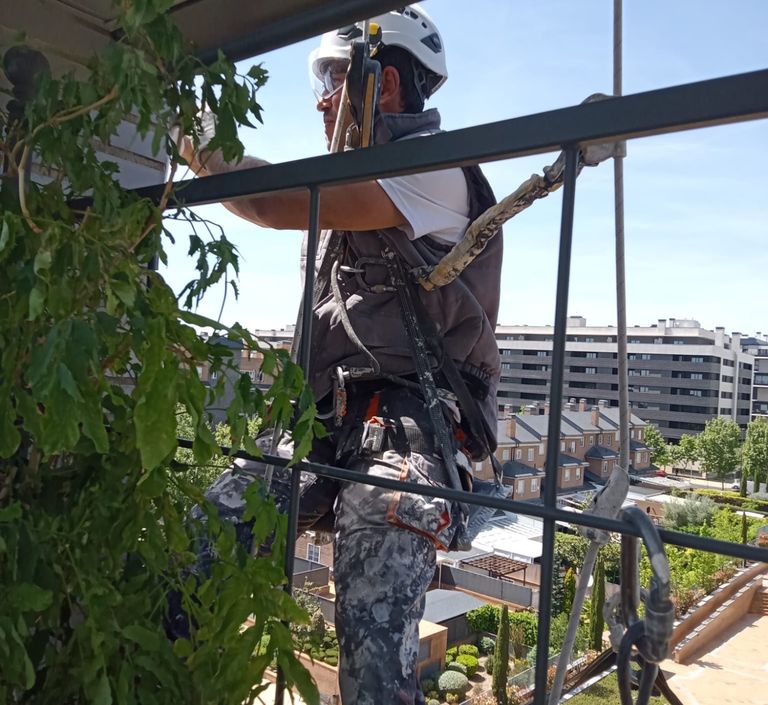 Instalación de sistema SATE en una fachada mediante trabajos verticales en Madrid
